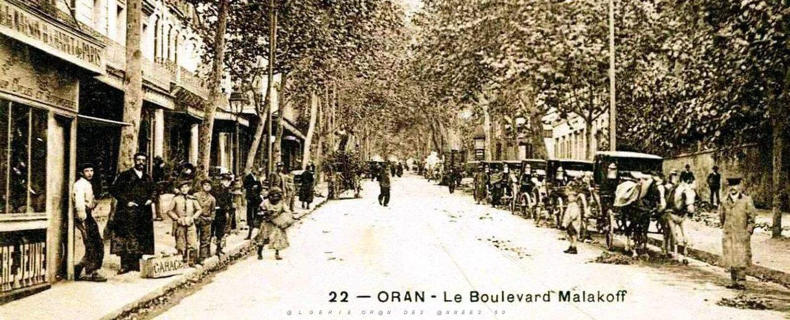 1039- Oran - Boulevard Malakoff2.jpg